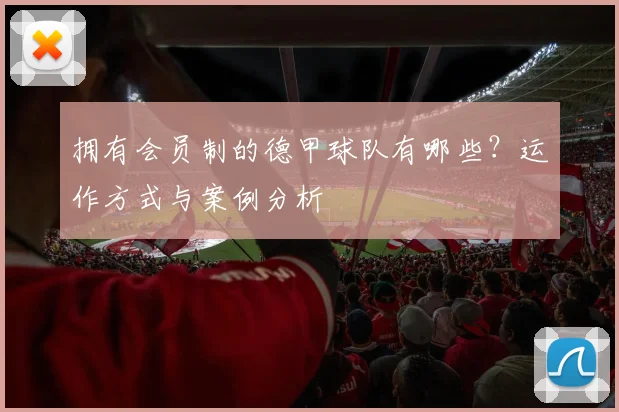 拥有会员制的德甲球队有哪些？运作方式与案例分析