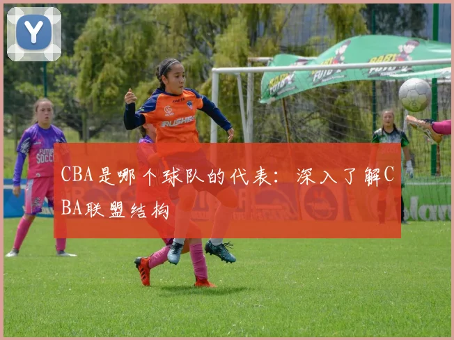 CBA是哪个球队的代表：深入了解CBA联盟结构