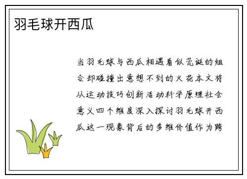 羽毛球开西瓜